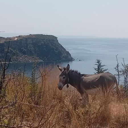 Paradise View Химара Экстерьер фото